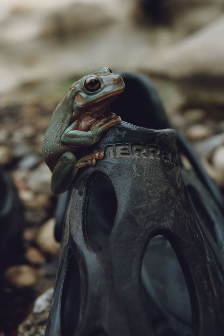 Merrell 1TRL Look Book SS21