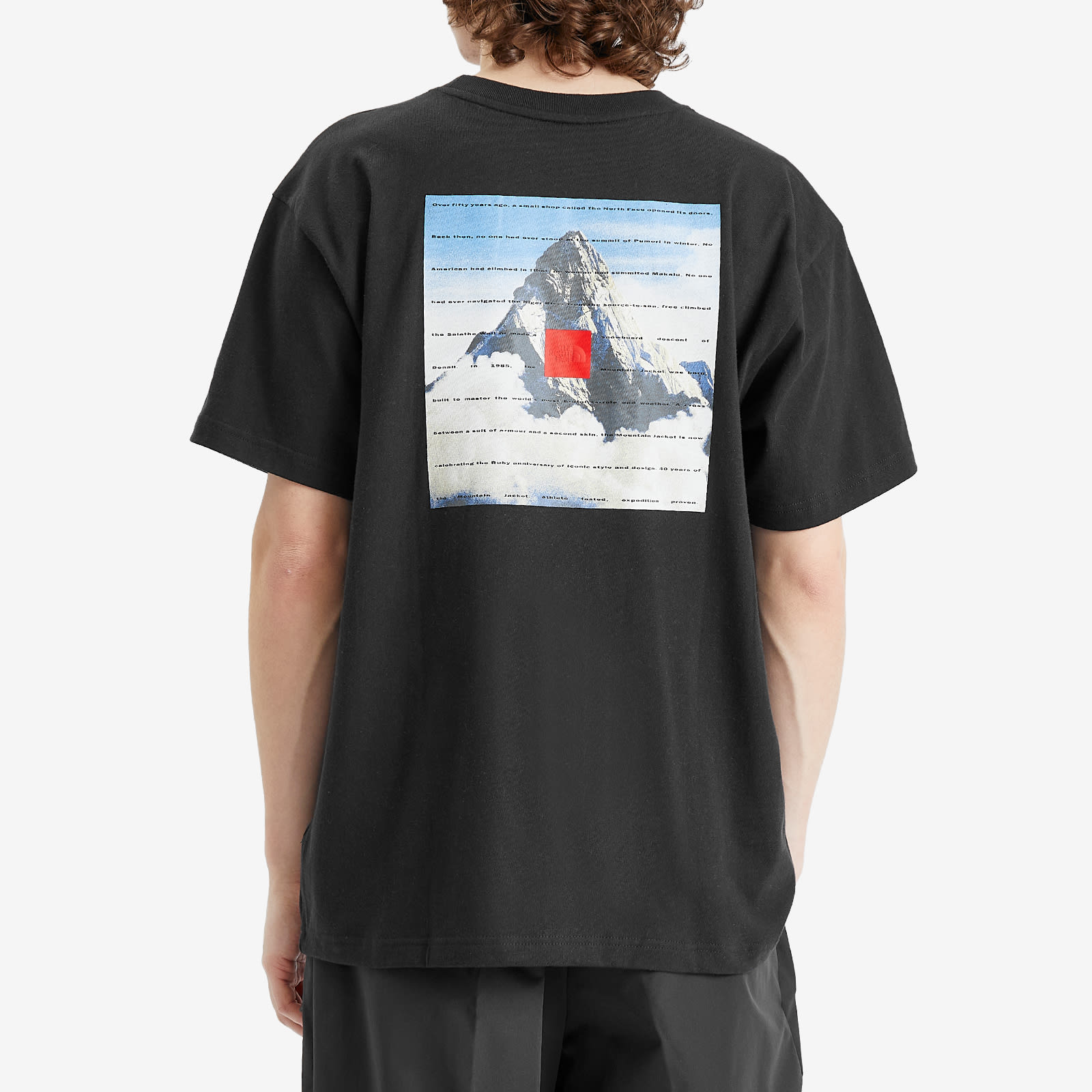 [THE NORTH FACE] M'S 40TH ANNIVERSARY MOUNTAIN S/S R/TEE★ The North Face 40TH Anniversary Mountain Men's T-Shirt Black