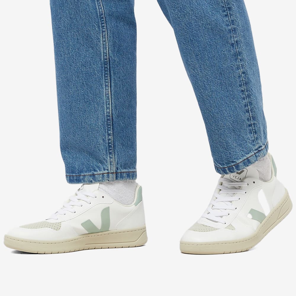veja vegan v 10