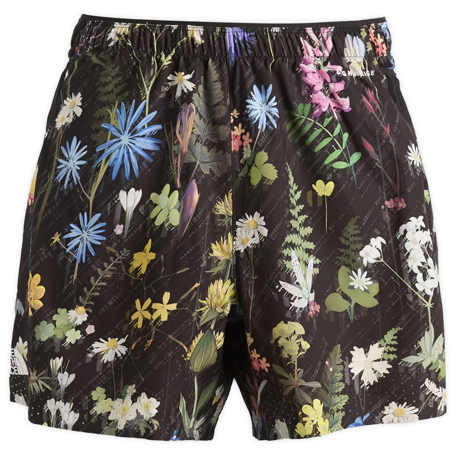 The North Face Men's Summit Series Pacesetter Print Shorts Tnf