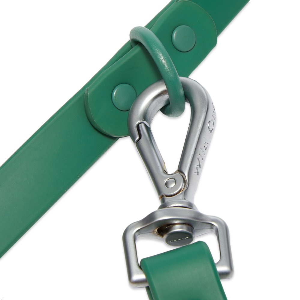 Wild One Dog Leash Spruce END. (US)