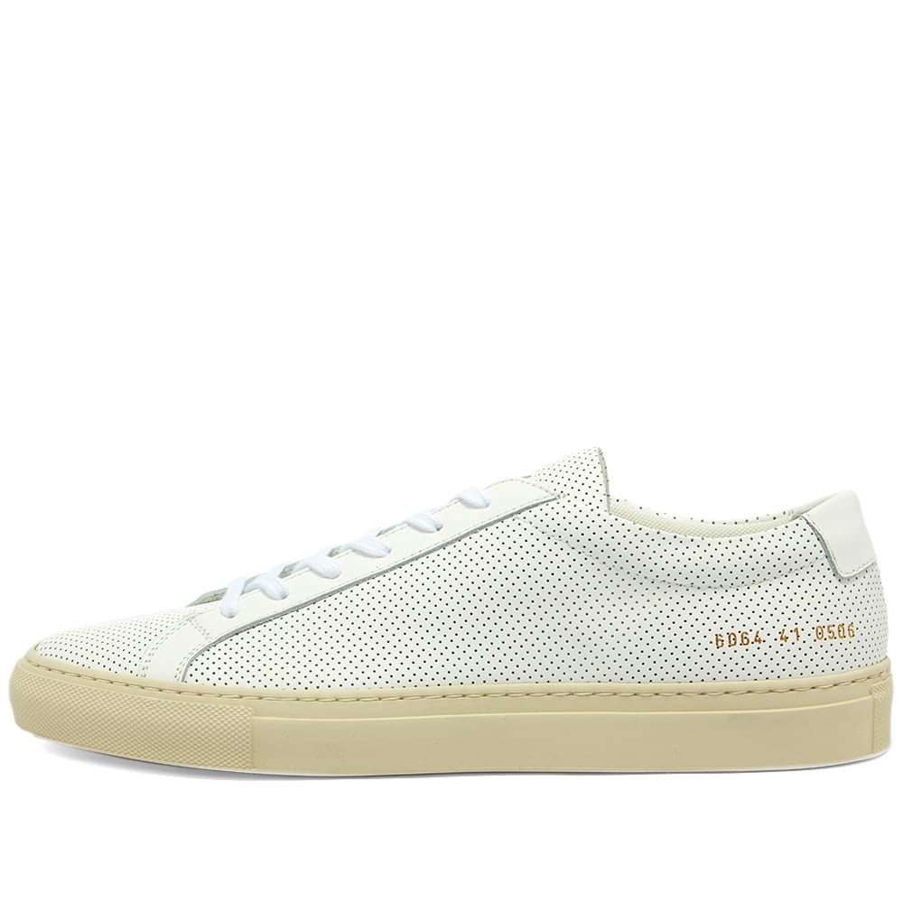 common projects perforated white