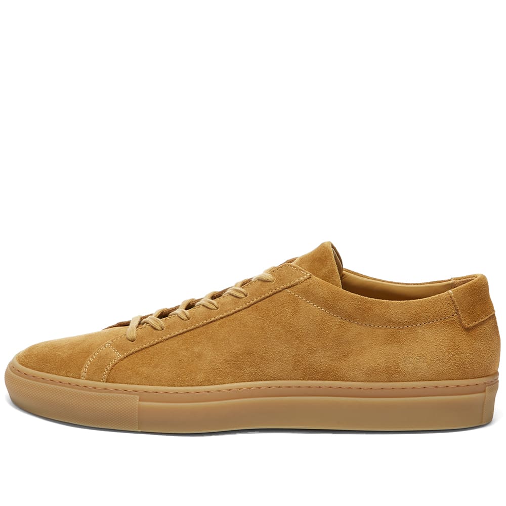 common projects tan sneakers
