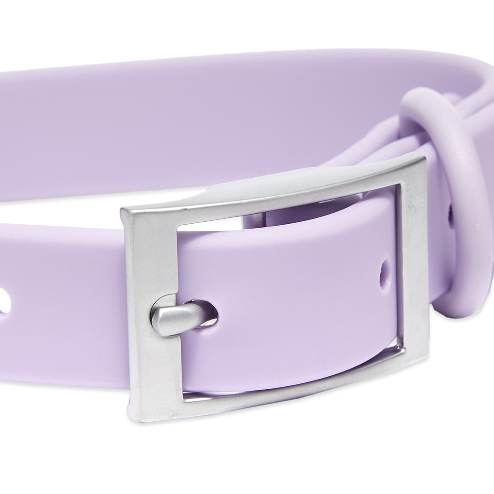 Wild One Dog Collar Lilac END. (US)