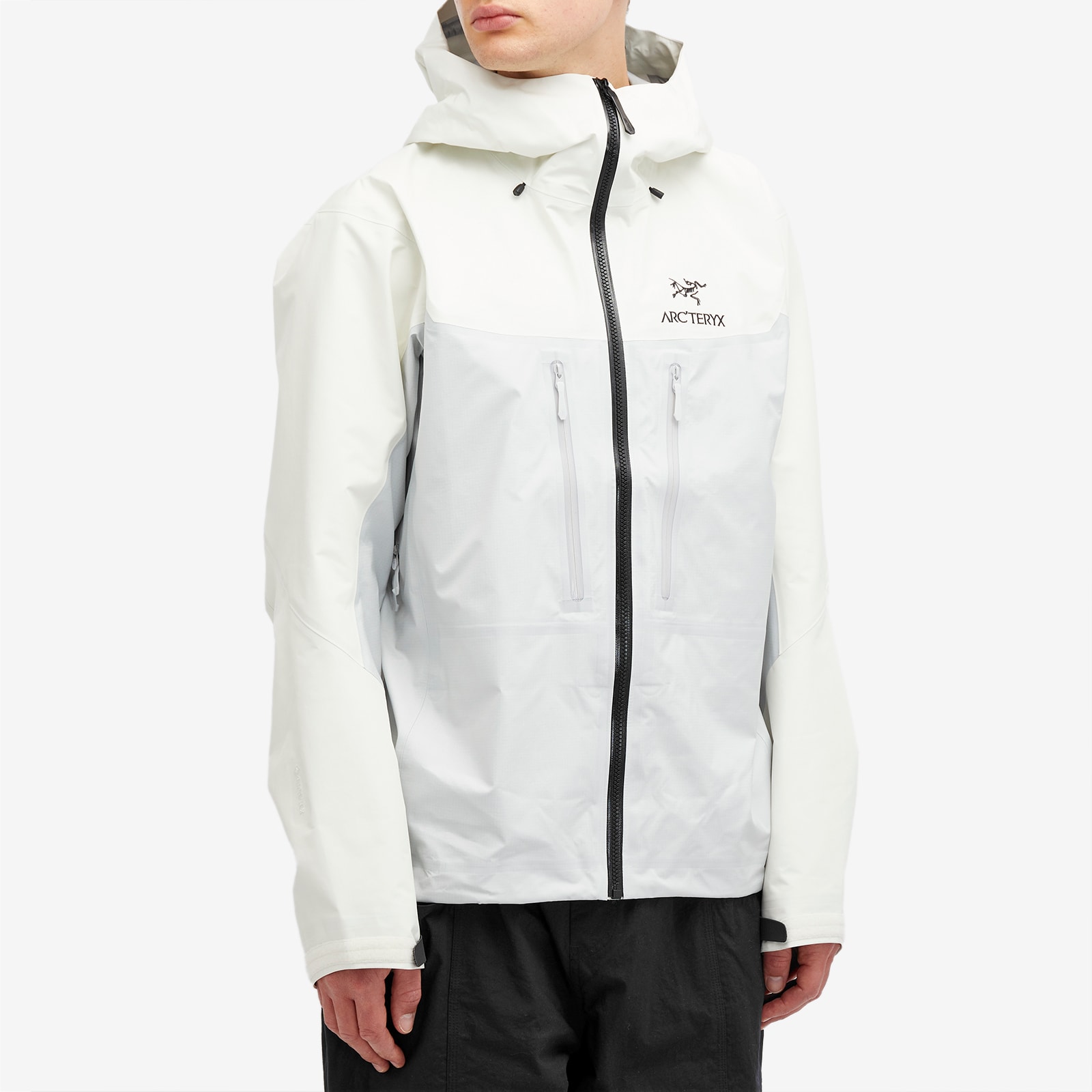 Arc'teryx Men's Alpha Jacket Arctic Silk/Solitude | X000006454