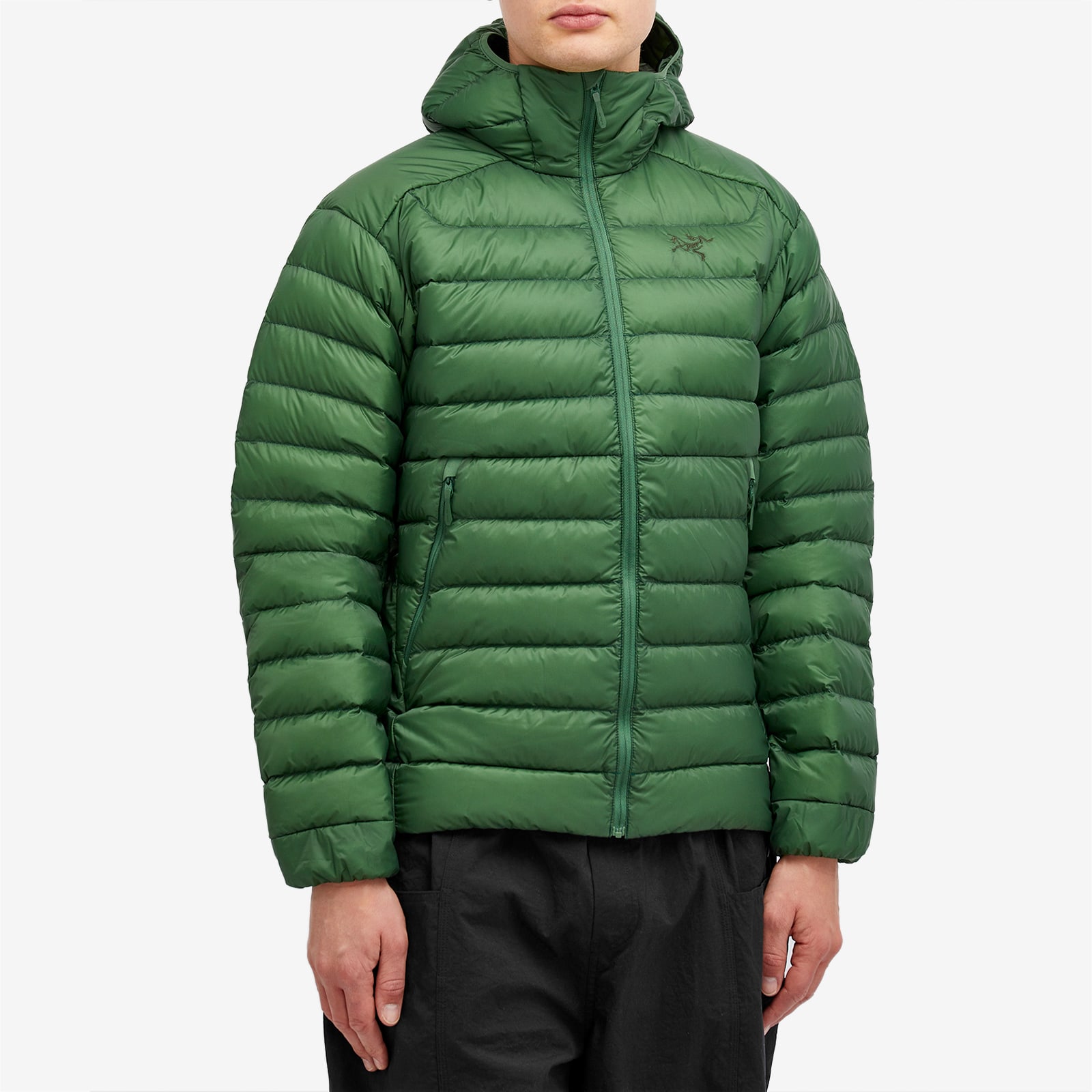 Arc'teryx Men's Cerium Hoodie Jacket Eden | X000007313-020137