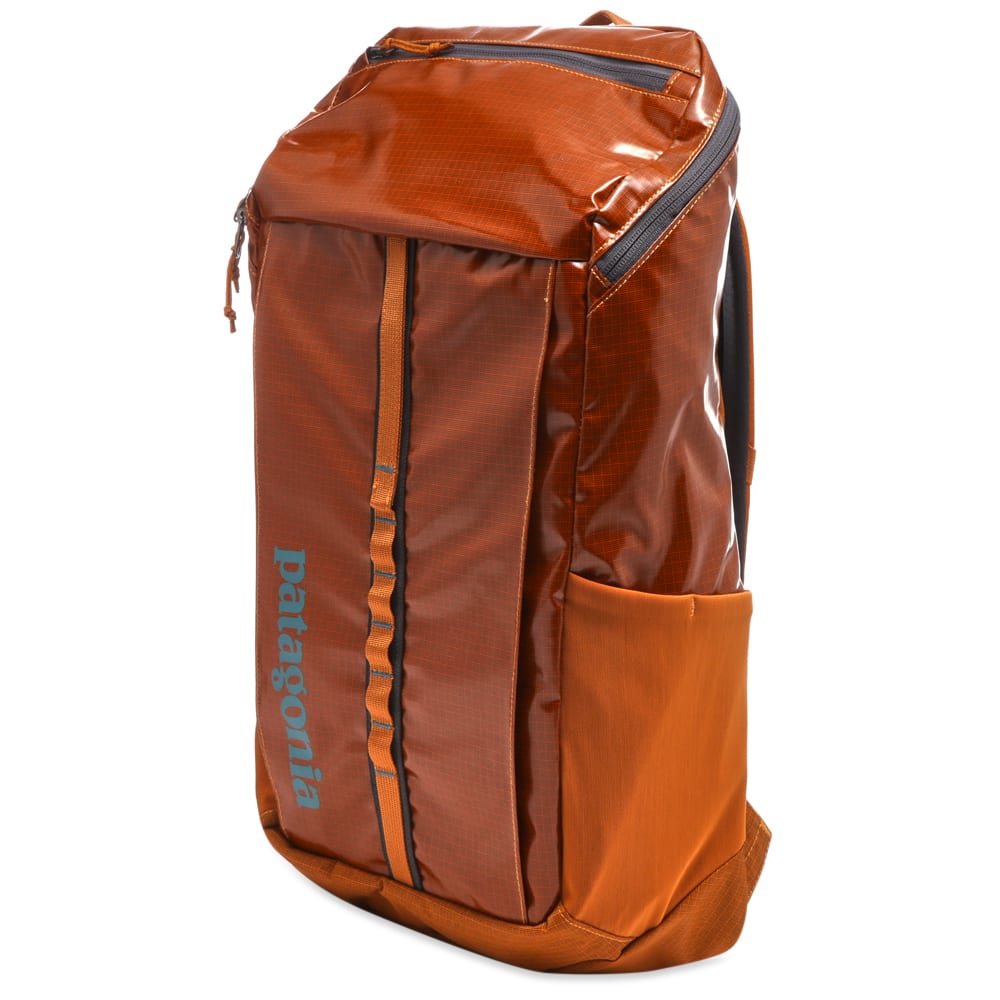 Hammonds gold patagonia clearance