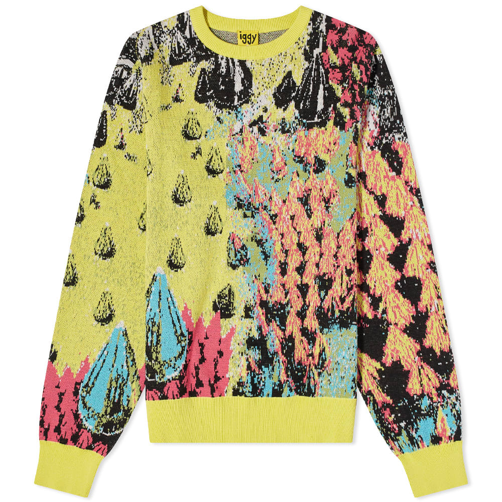 Iggy Spiked Jaquard Crew Knit Multi END. (US)
