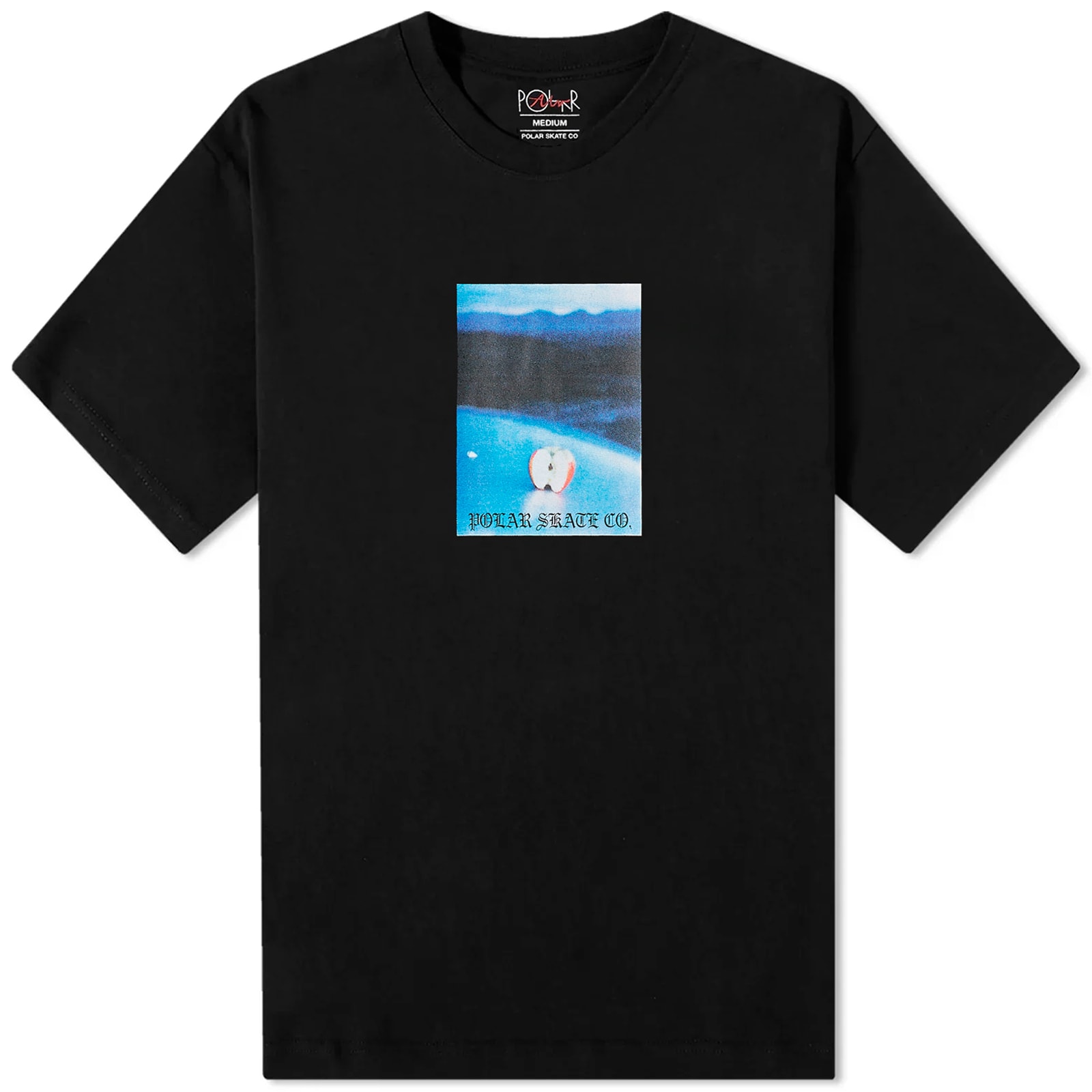 polar-skate-co-core-t-shirt-black-end