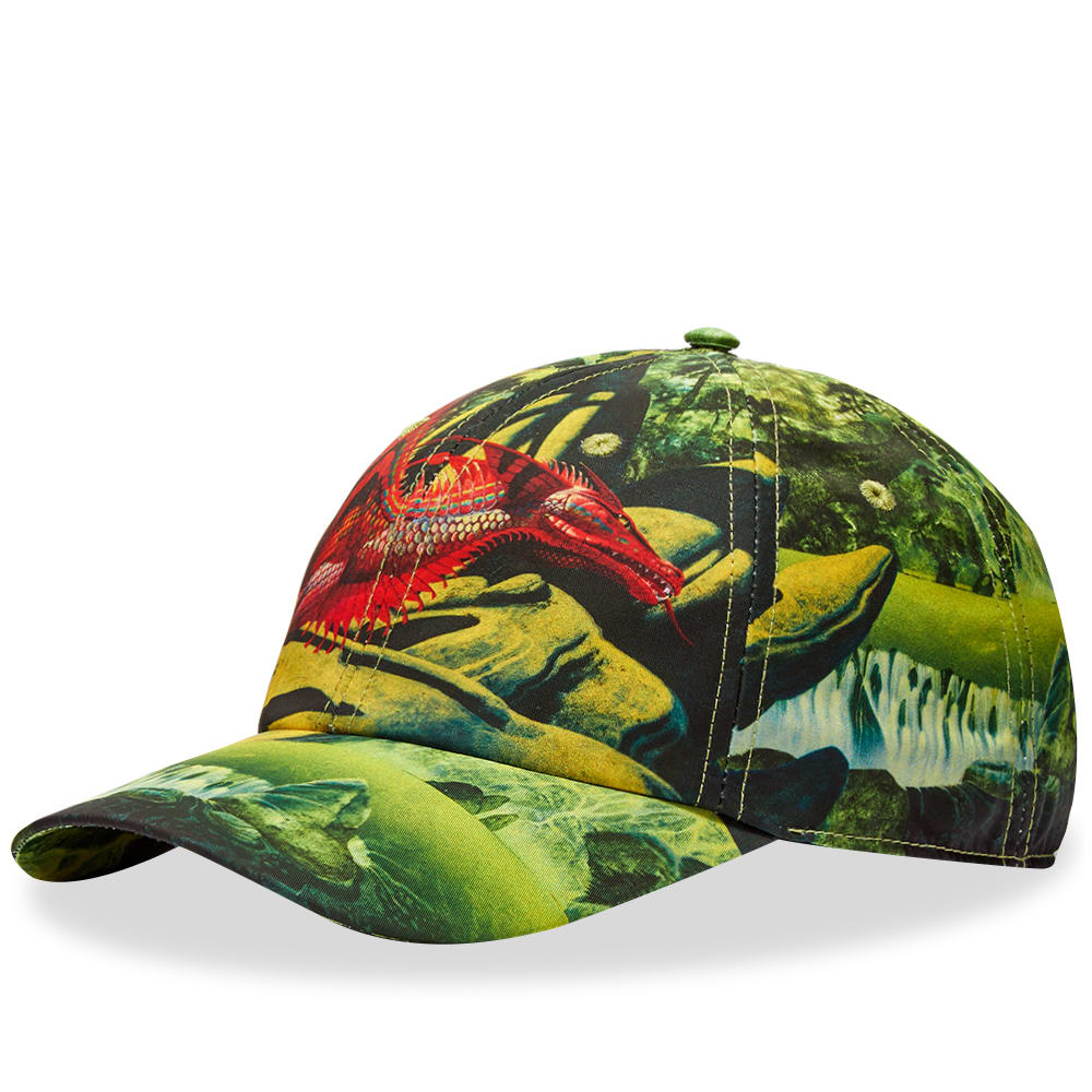 dragon baseball cap