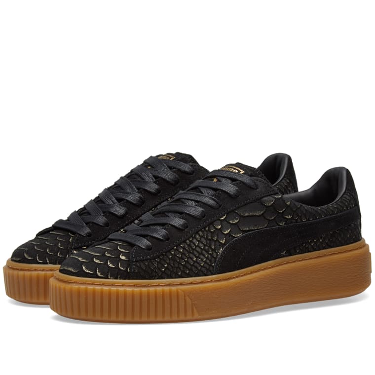 puma exotic puma exotic