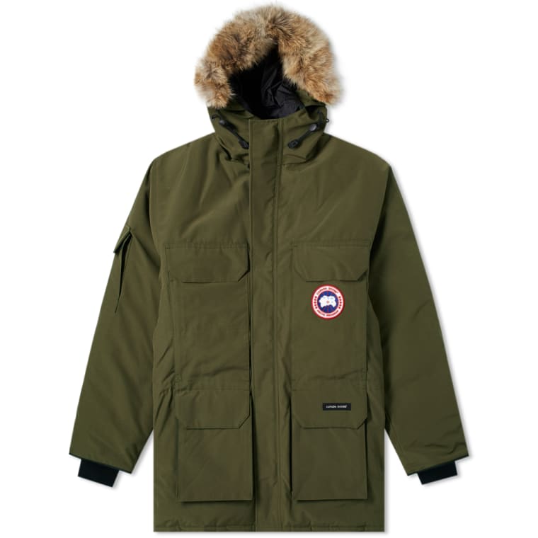 brown canada goose brown canada goose