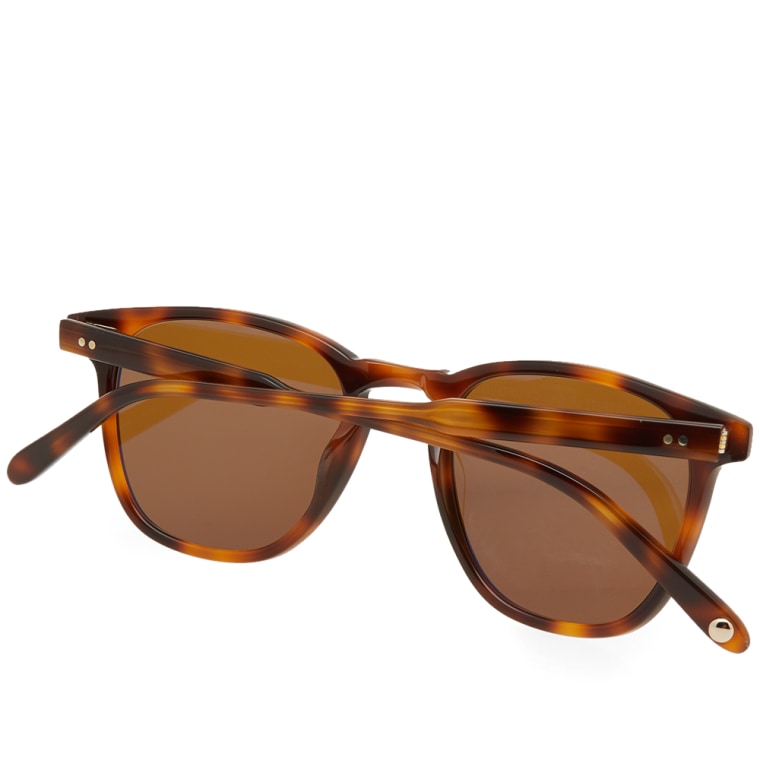 Garrett Leight Brooks Sunglasses (Brown Tortoise & Pure ...