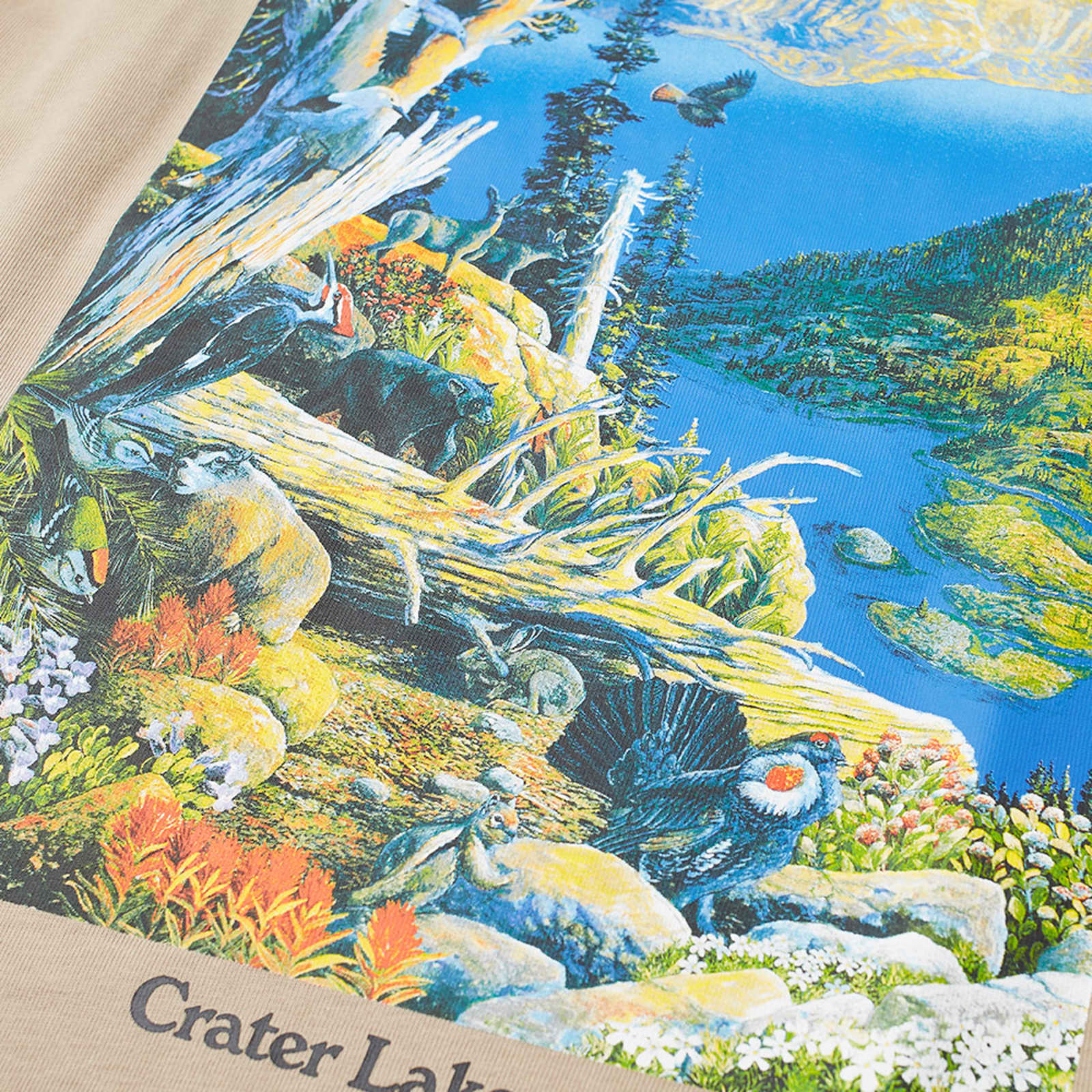 acg crater lake