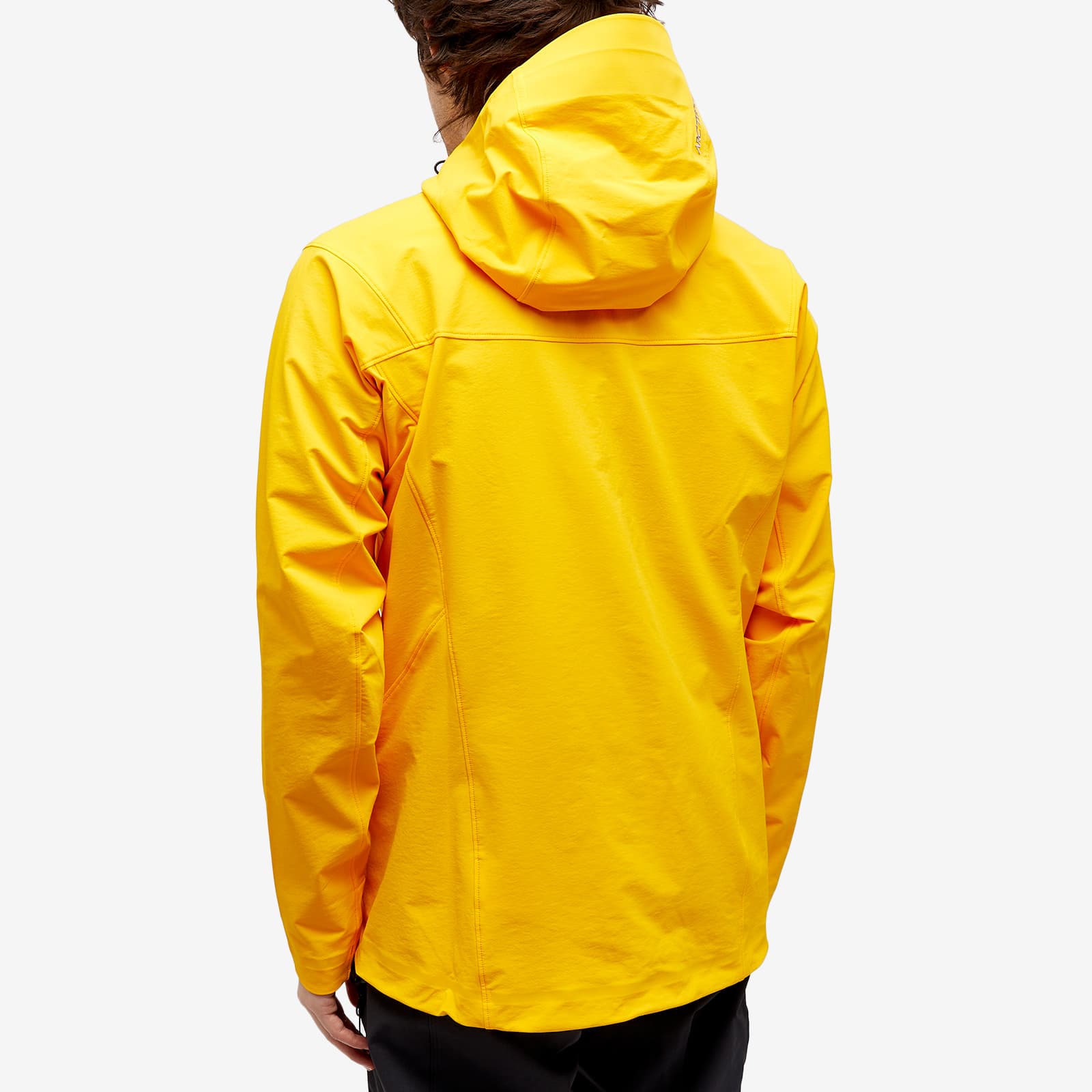 Arc'teryx Gamma Hoodie Jacket - Edziza