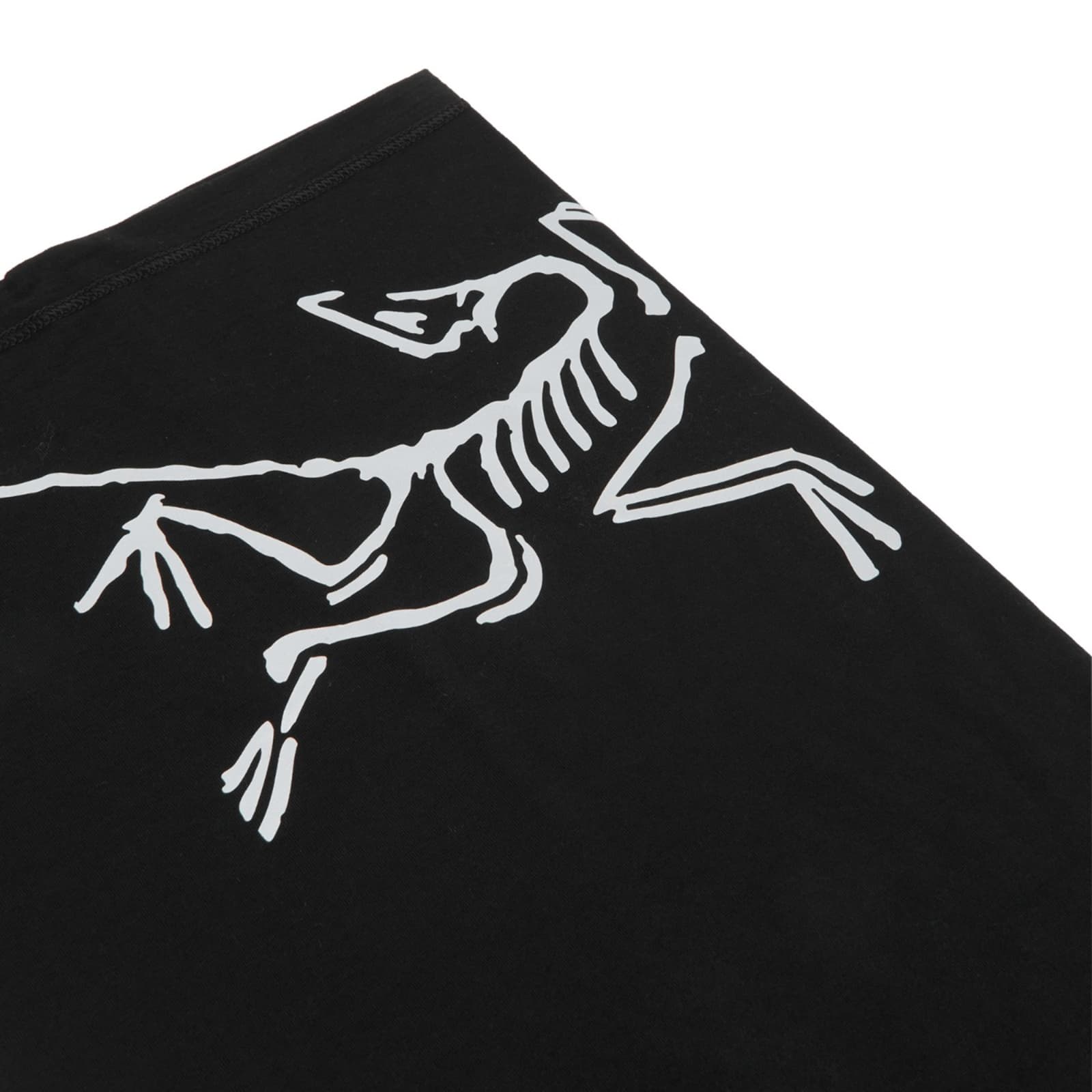 Arcteryx Lightweight Neck Gaiter