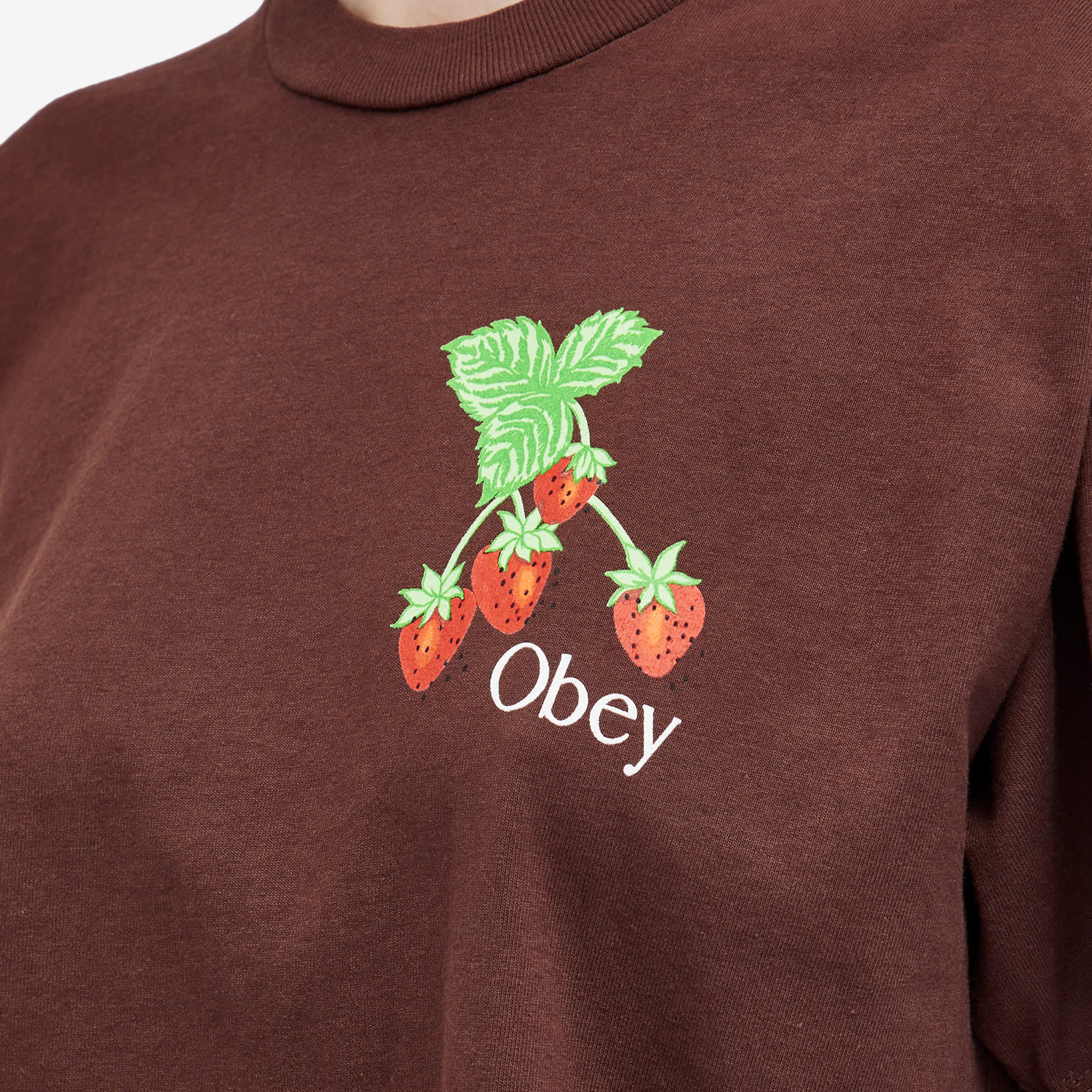 Strawberry Shan Onlyfans: The End Is Near? - 8dr8xey