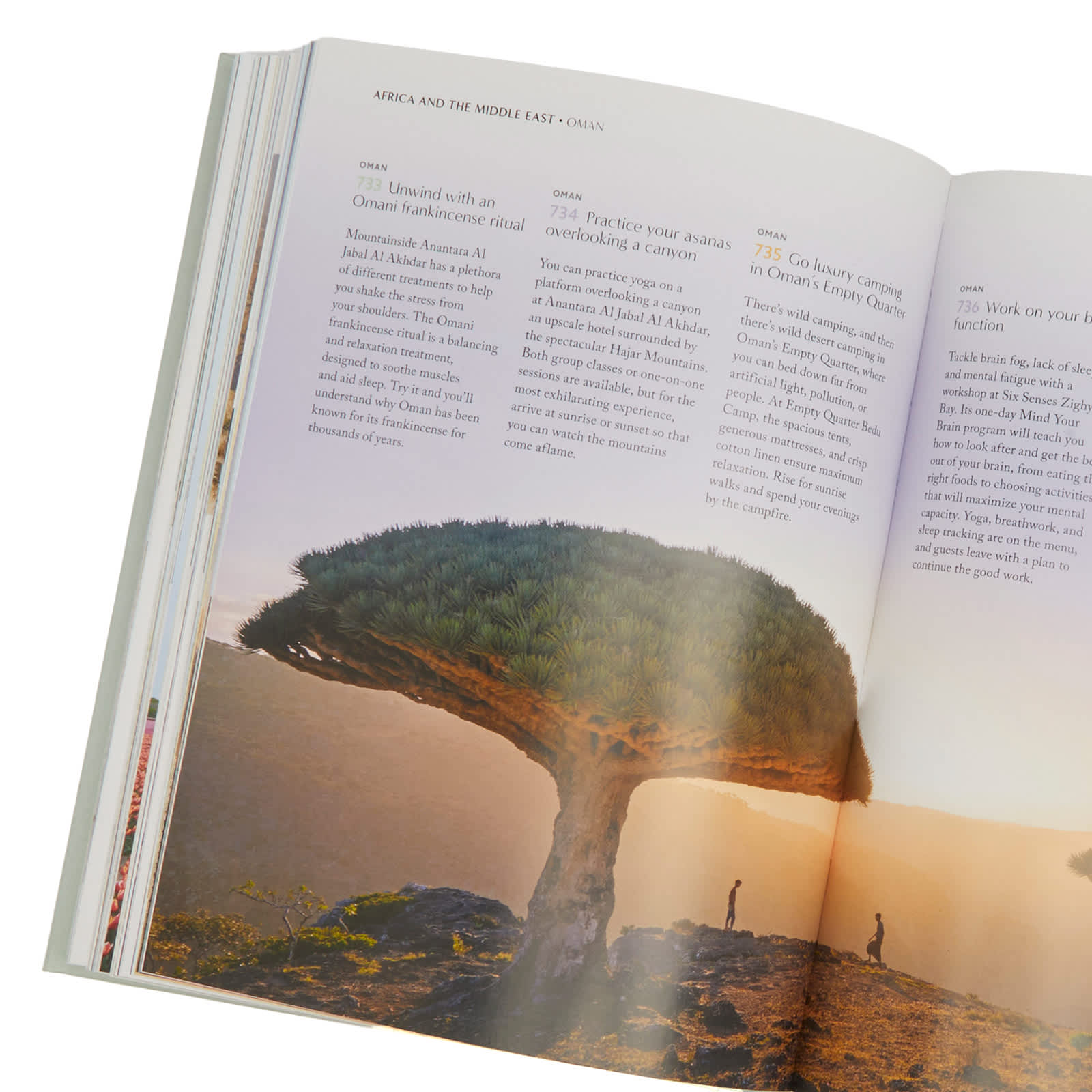 The Wellness Bucket List Nana Luckham END. (HK)