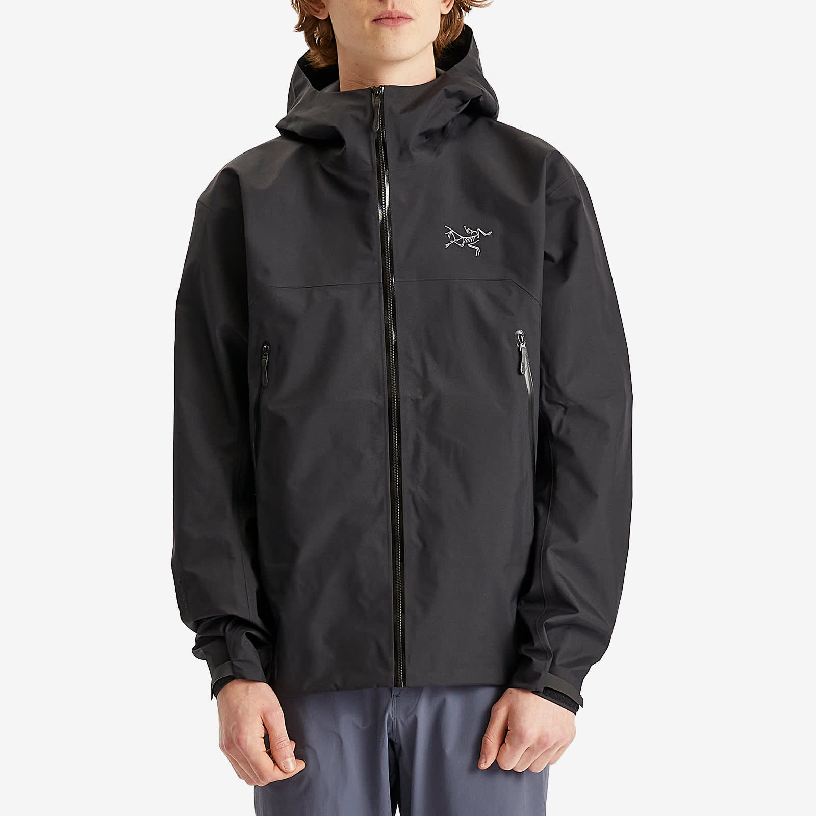 Arc'teryx Beta Gore-Tex Jacket