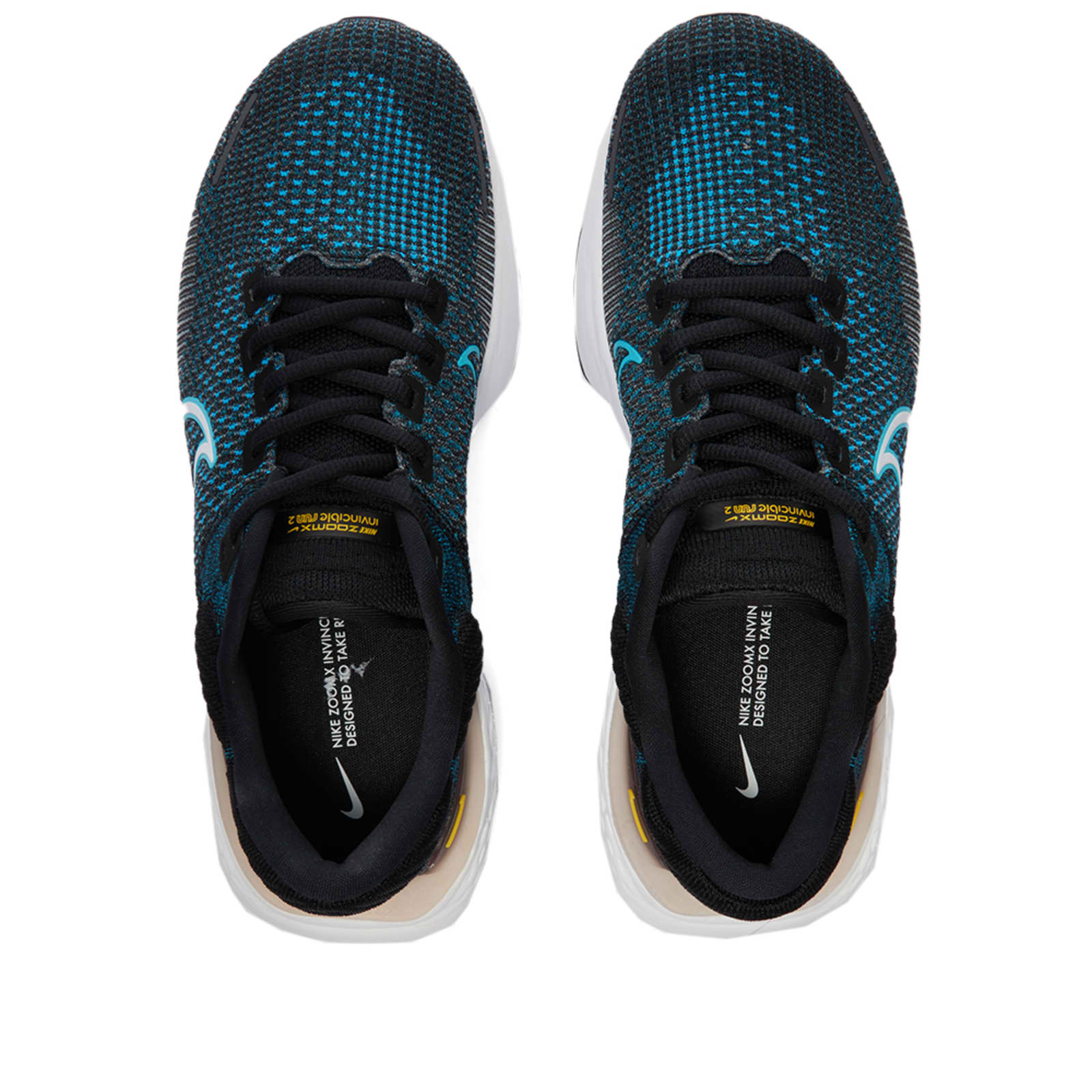 zoomx bruin flyknit