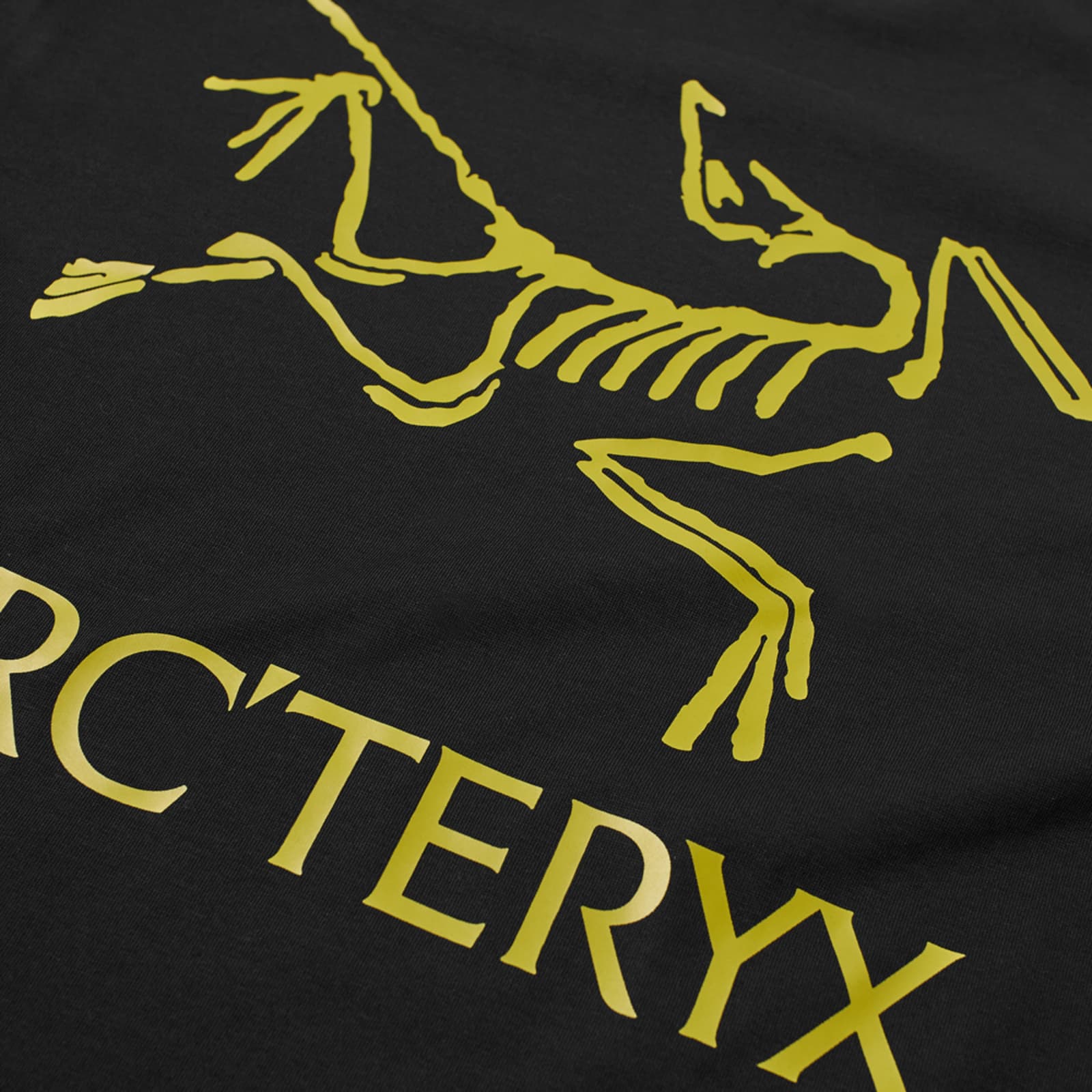 Arc'teryx System A Long Sleeve Copal Bird T-Shirt - Black