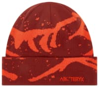 Arc'teryx Grotto Toque - Sequoia & Solaris