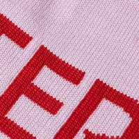 Arc'teryx Word Head Toque Beanie