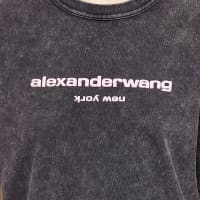 Alexander Wang Acid Wash Classic Logo T-Shirt - Acid Grenadine
