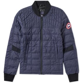 canada goose Polar Sea canada goose Polar Sea