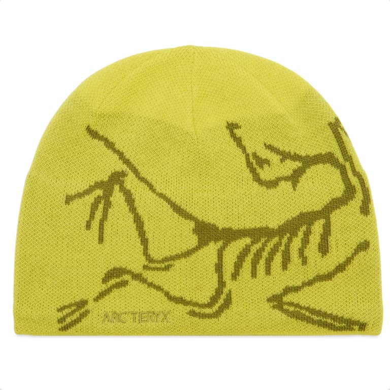 Arc'teryx Bird Head Toque