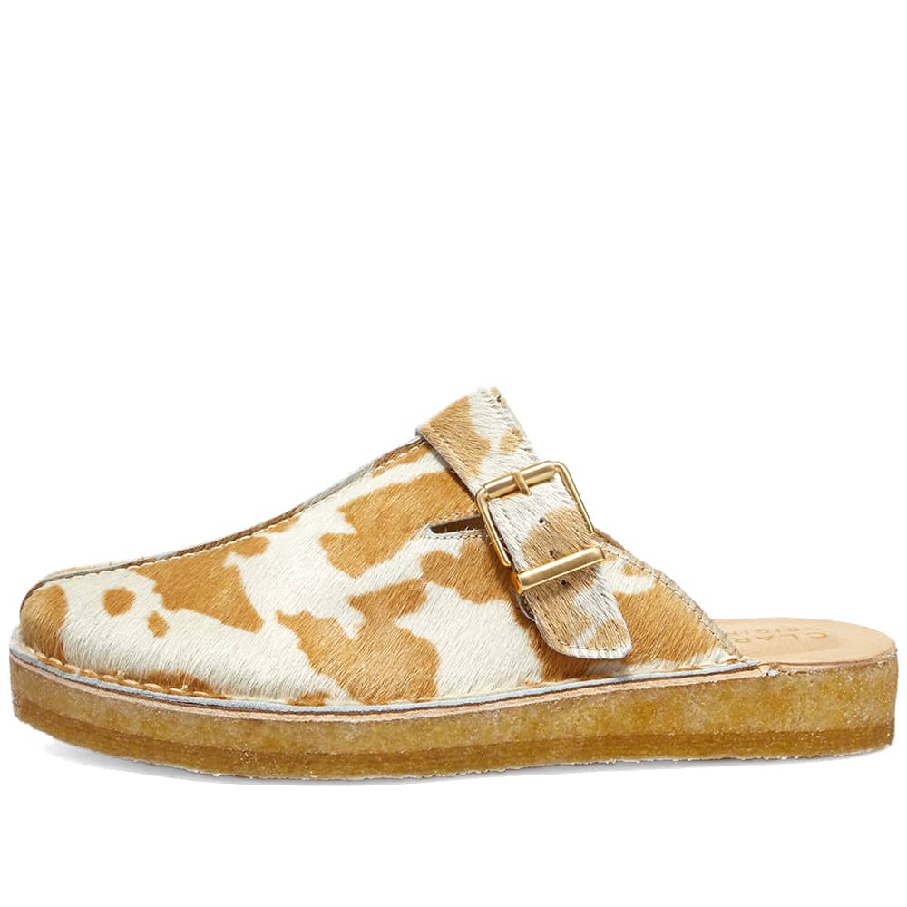 bill dance fishing shoes