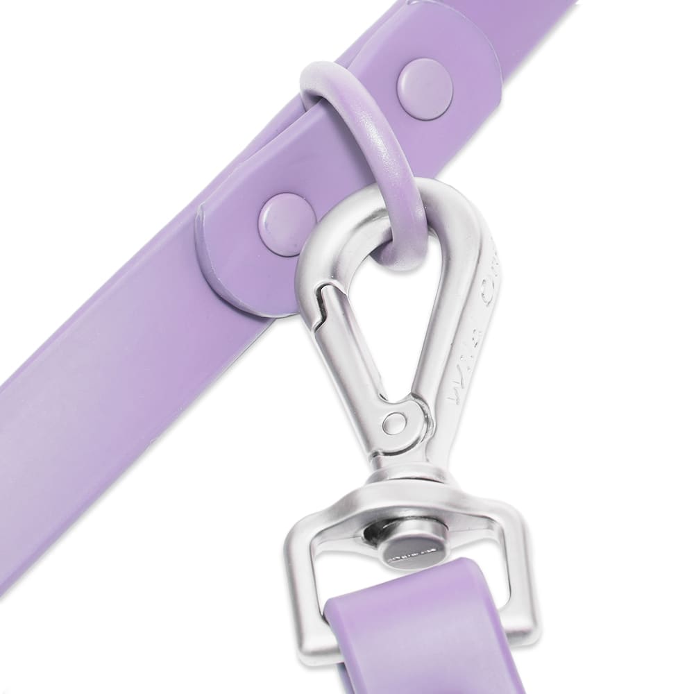 Wild One Dog Leash Lilac END. (US)