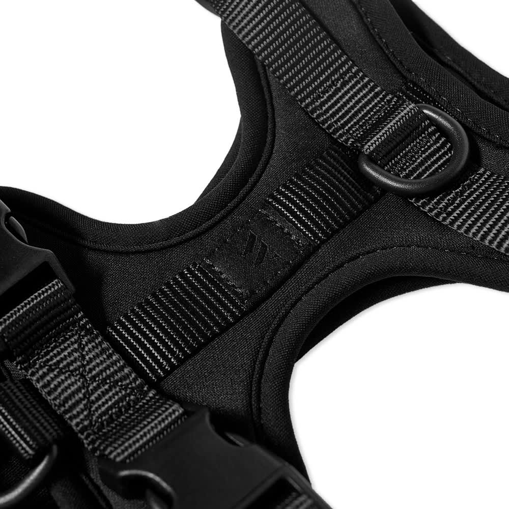 Wild One Dog Harness Black END. (ES)