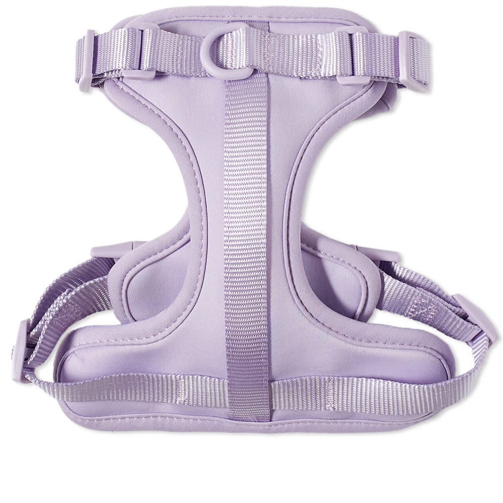 wild-one-dog-harness-lilac-end