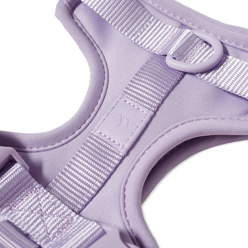 wild-one-dog-harness-lilac-end