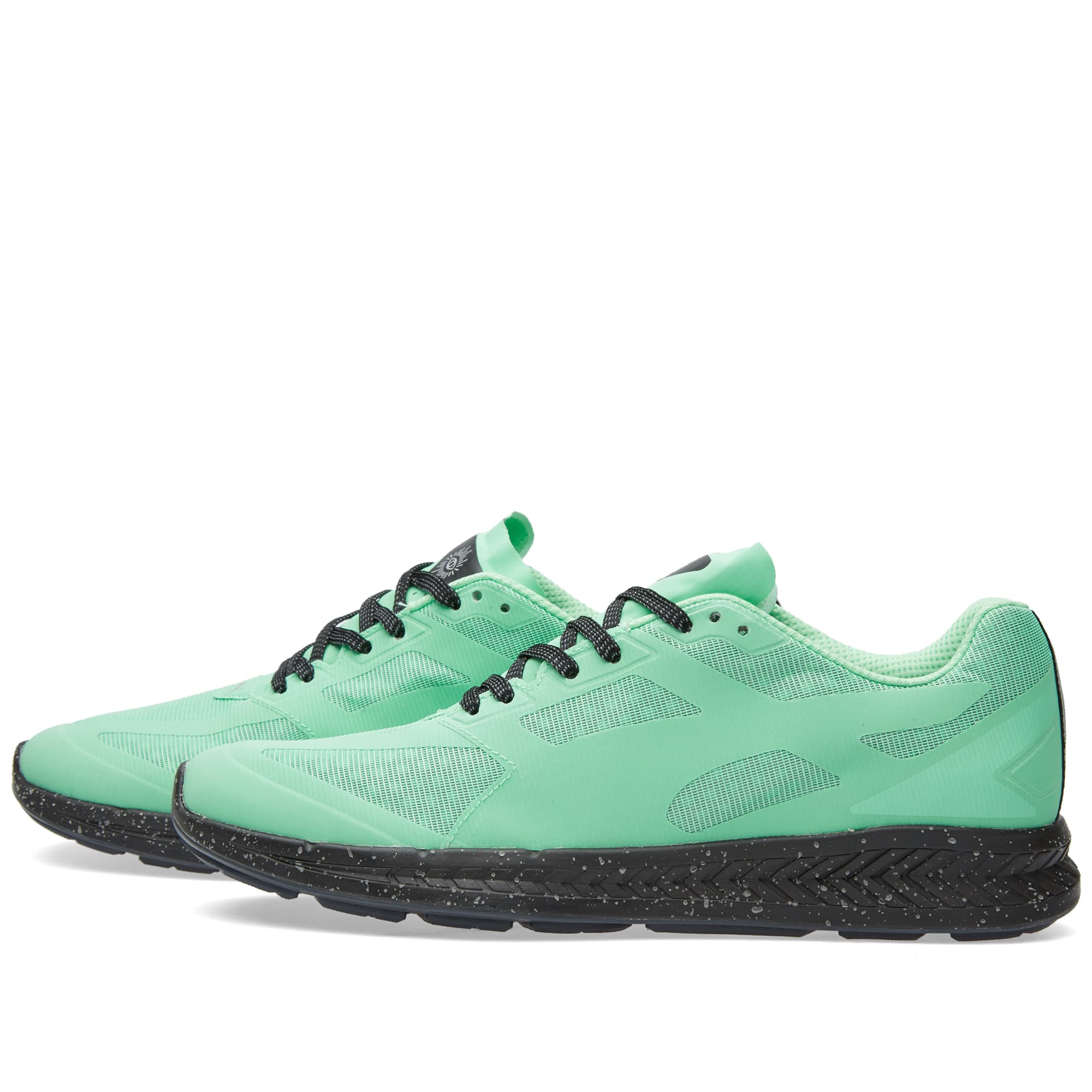 puma icny