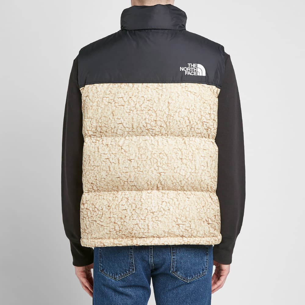 the north face nuptse 1996 dam