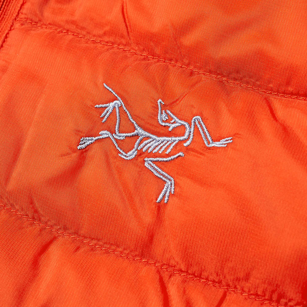 arc teryx promotion