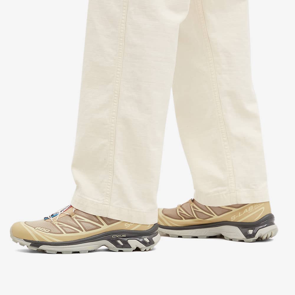 salomon xt 6 clear safari magnet