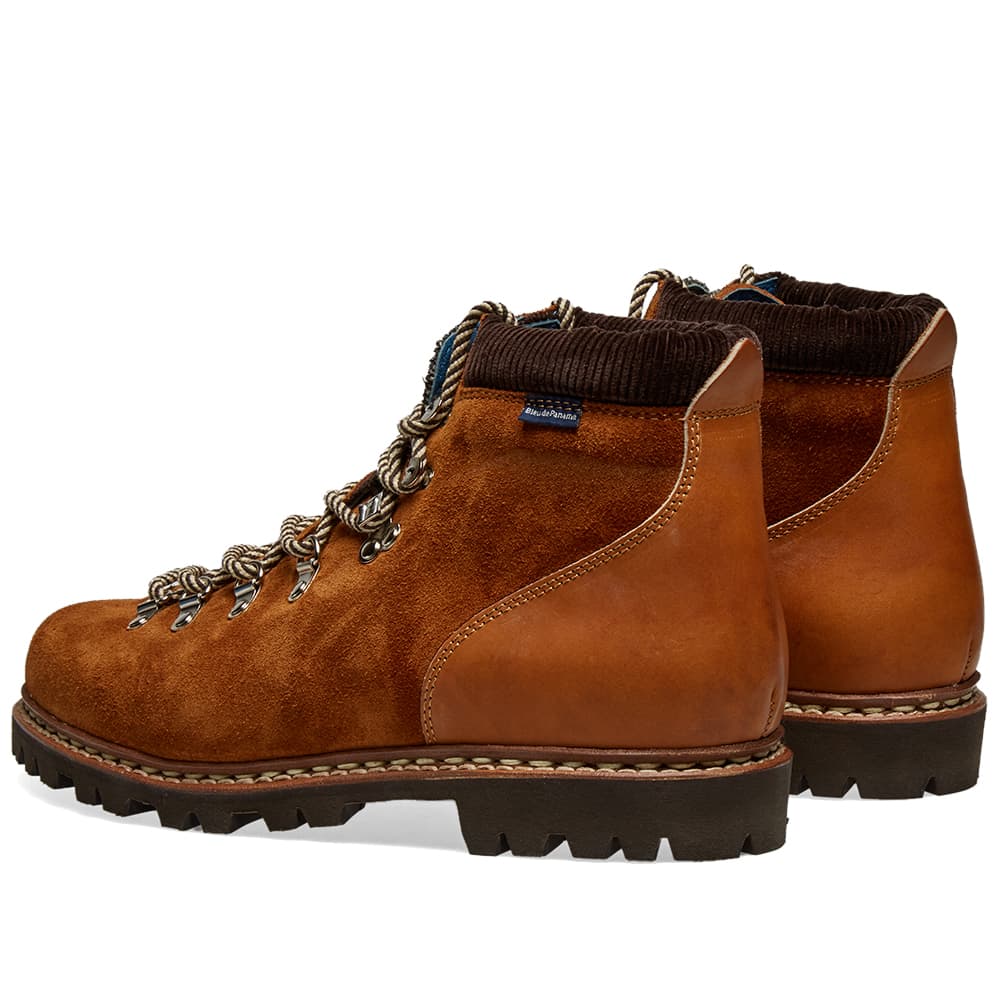 house plants that flower all year round