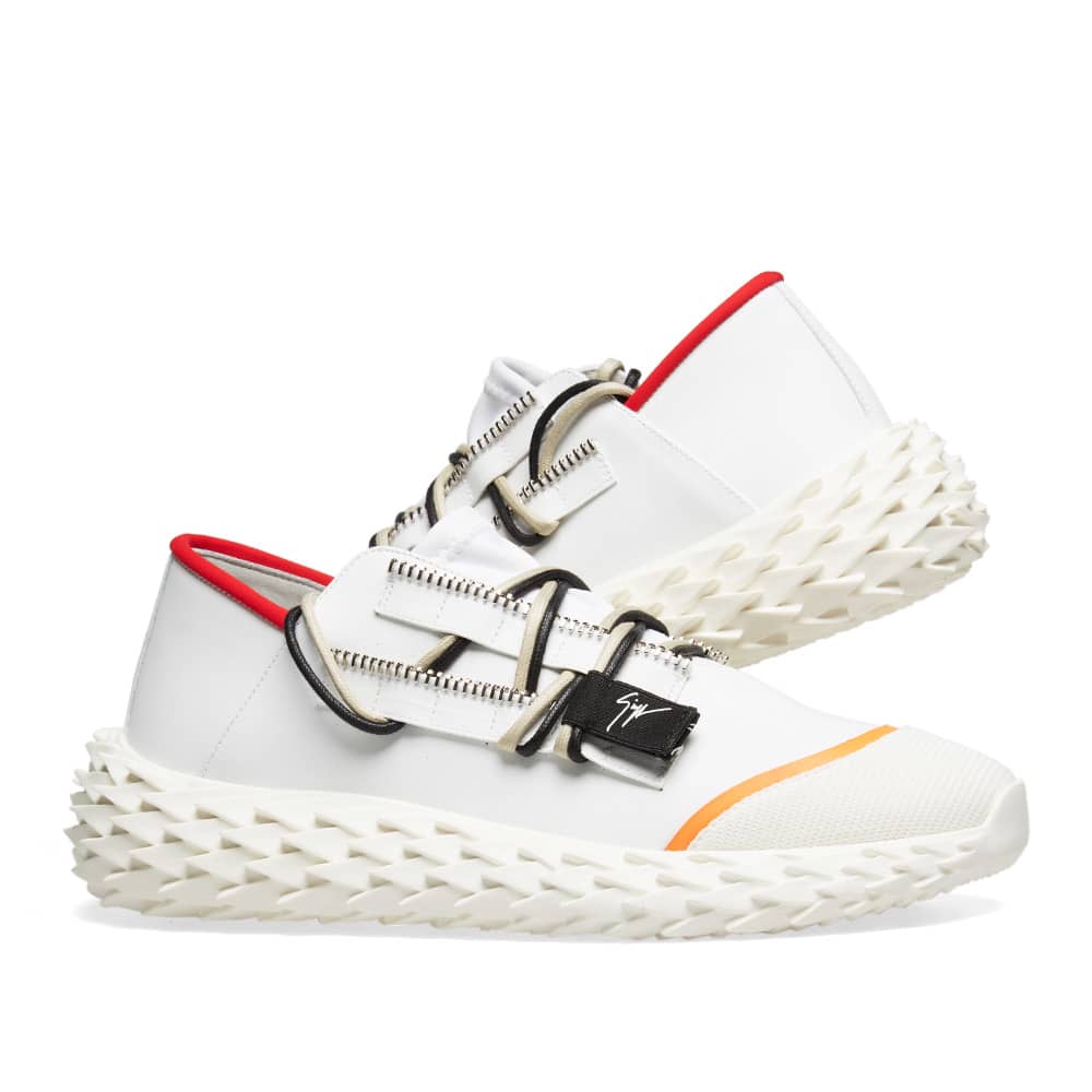 giuseppe zanotti urchin sale
