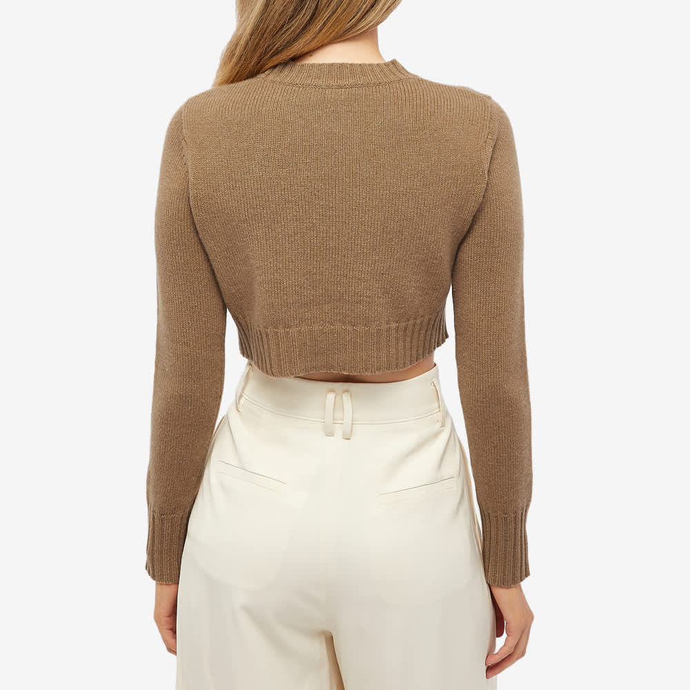 cropped camel jumper