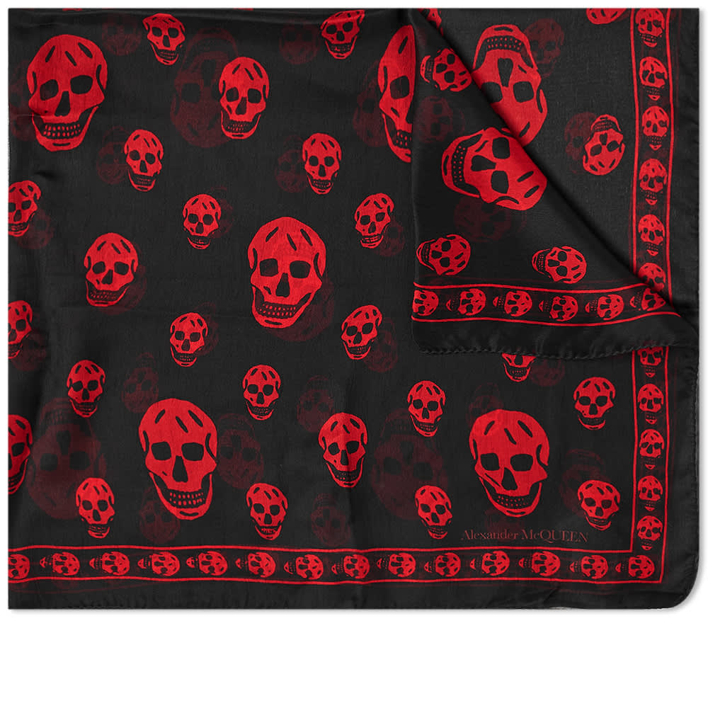 alexander mcqueen skull