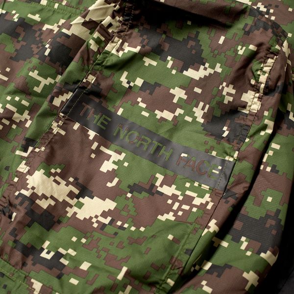 the north face english