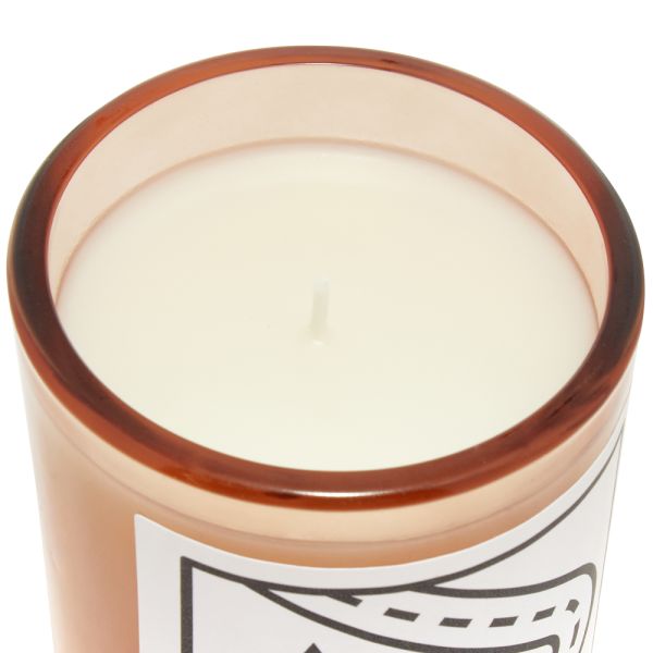 D.S. & Durga Big Sur After Rain Scented Candle 198g END. (SG)