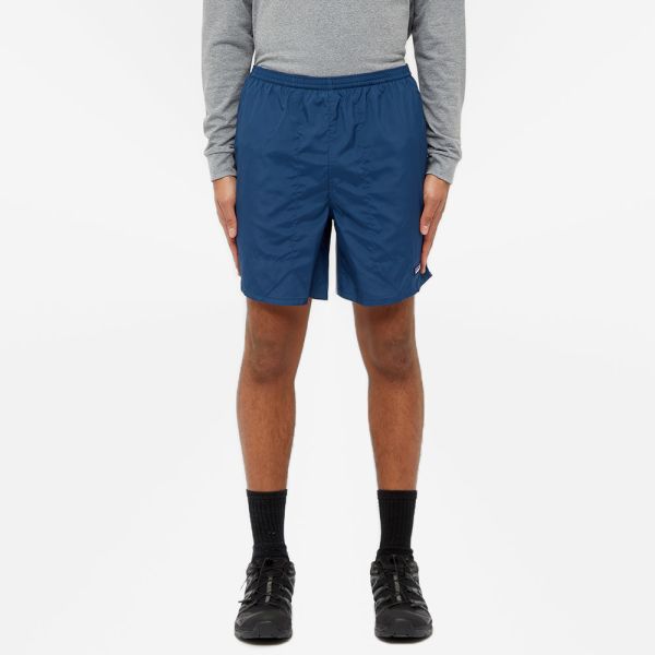 shorts similar to patagonia baggies