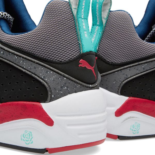 blaze of glory puma rose blaze of glory puma rose