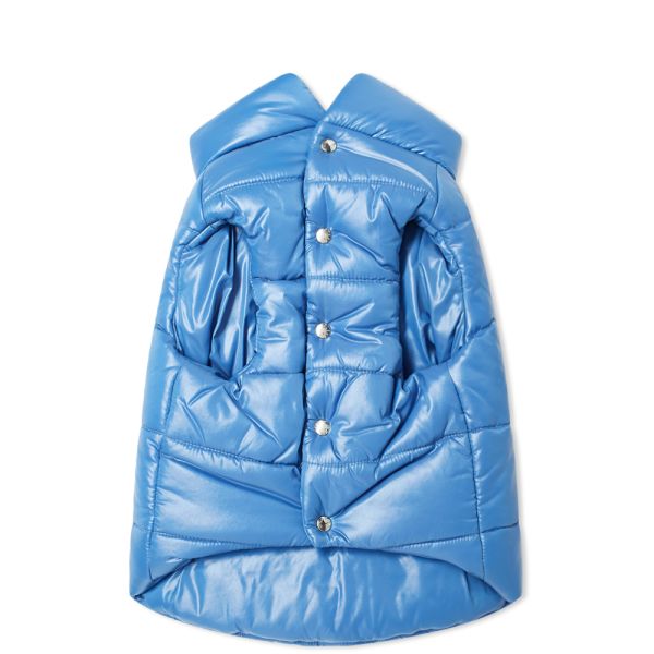 royal blue moncler