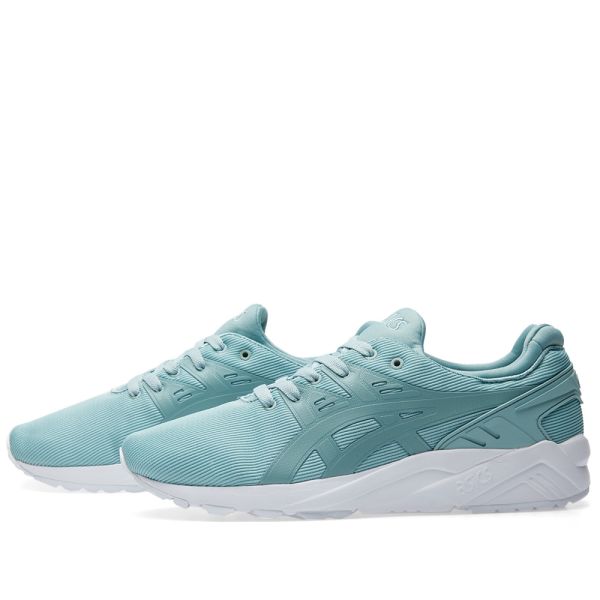 trainer evo
