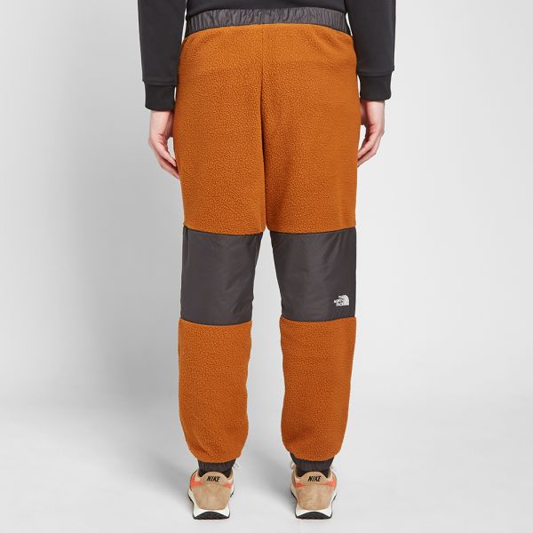 The north face denali fleece pant clearance